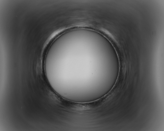 X0000086341270200704131735