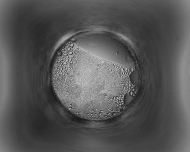 X0000086341271200704131735
