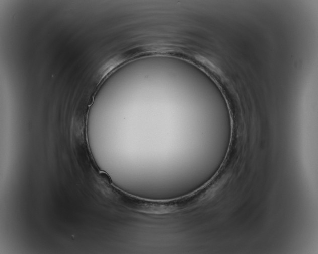 X0000086341273200704131735