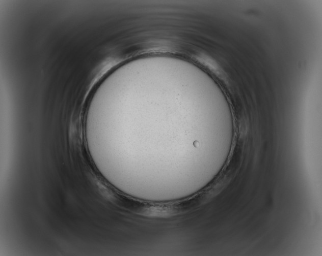 X0000086341274200704131735