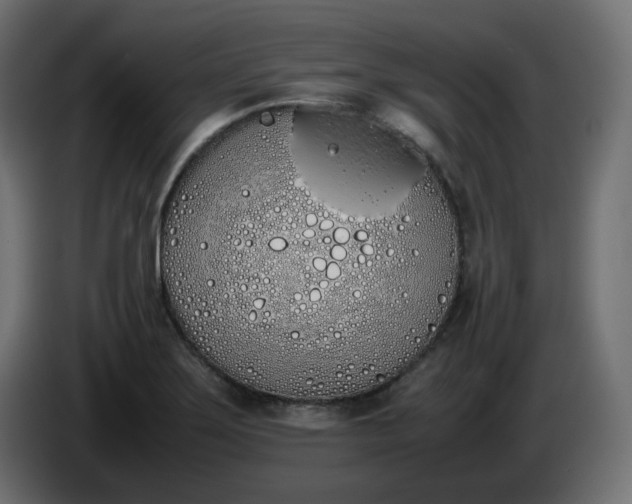 X0000086341275200704131735