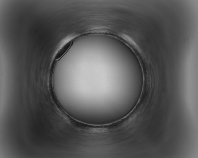X0000086341277200704131735