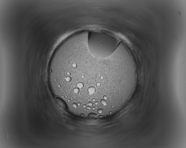 X0000086341279200704131735