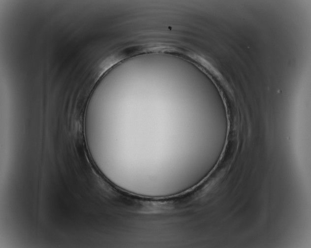 X0000086341281200704131735