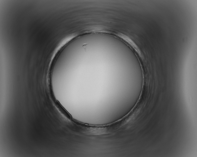 X0000086341285200704131735