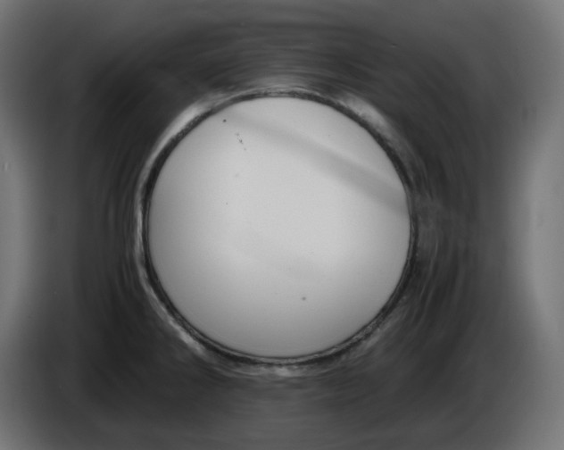 X0000086341286200704131735