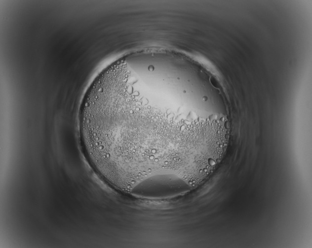 X0000086341287200704131735