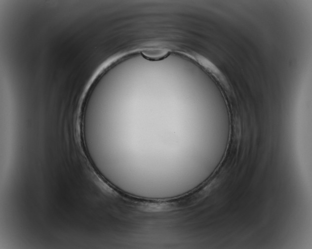 X0000086341288200704131735