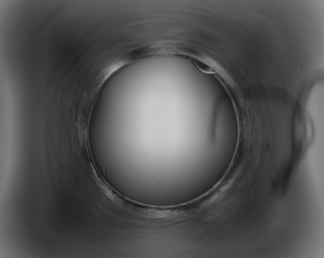 X0000086341289200704131735