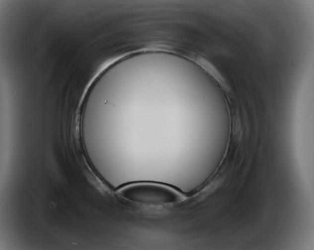 X0000086341292200704131735