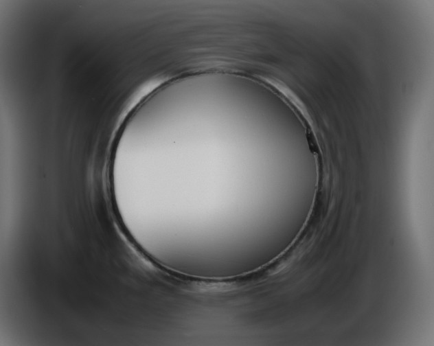 X0000086341293200704131735