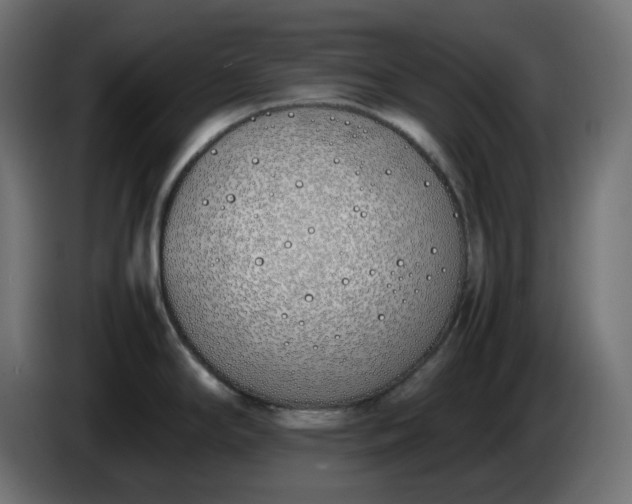 X0000086341294200704131735