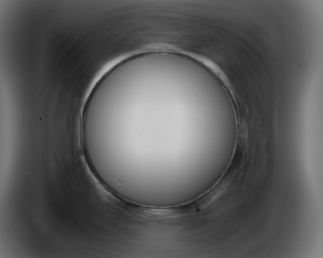 X0000086341295200704131735