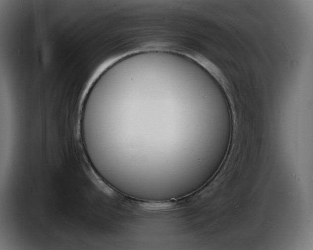 X0000086341296200704131735