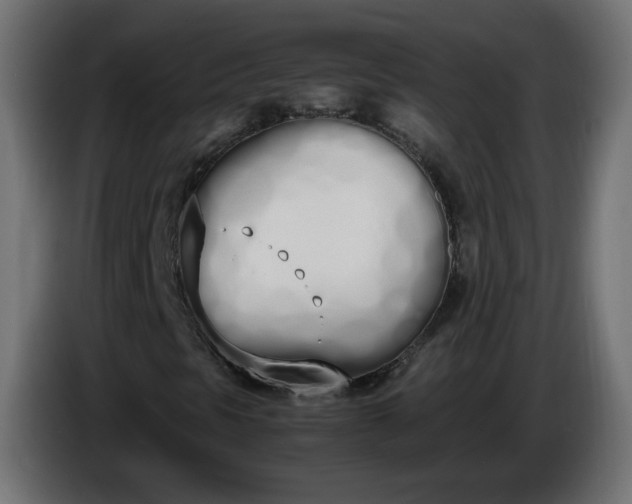 X0000086341297200704131734