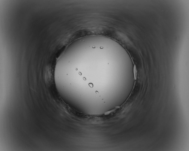 X0000086341298200704131734