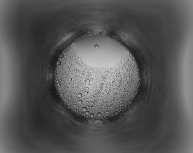 X0000086341302200704131734