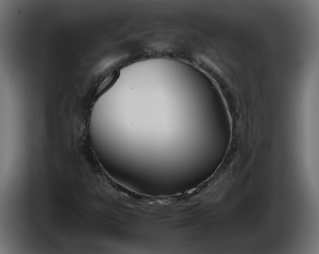 X0000086341303200704131734