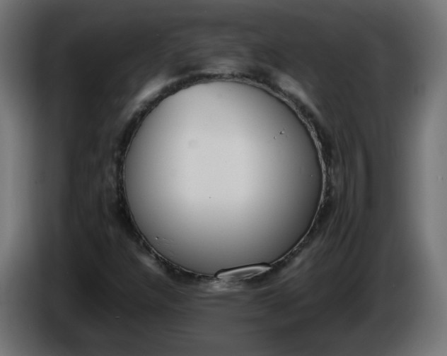 X0000086341304200704131734