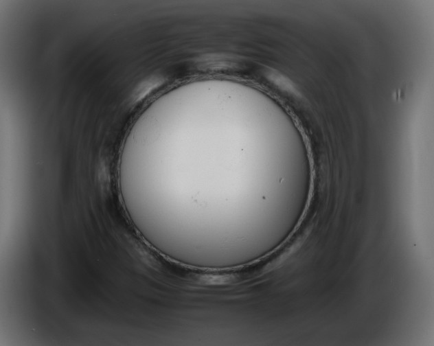 X0000086341305200704131734