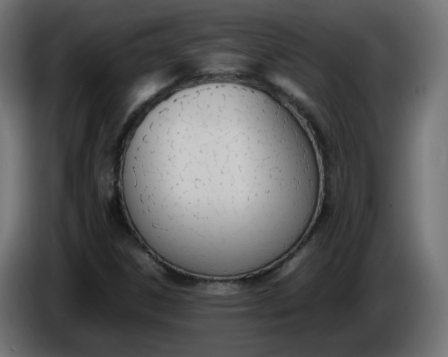 X0000086341306200704131734