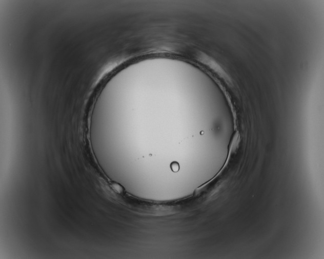 X0000086341308200704131734