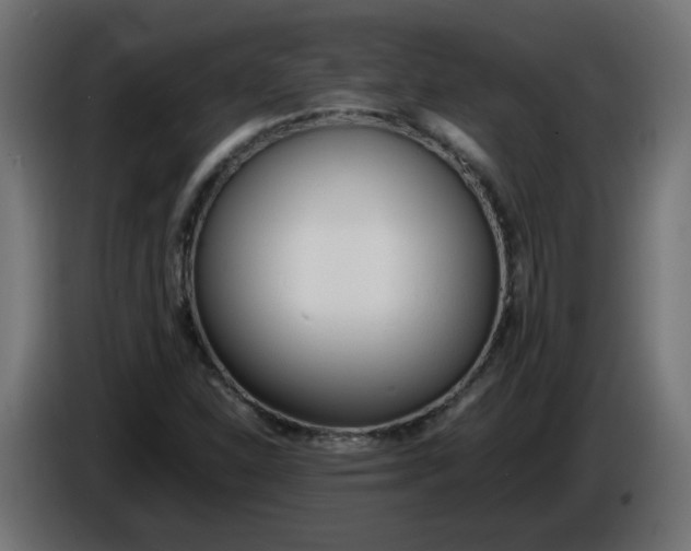 X0000086341310200704131734