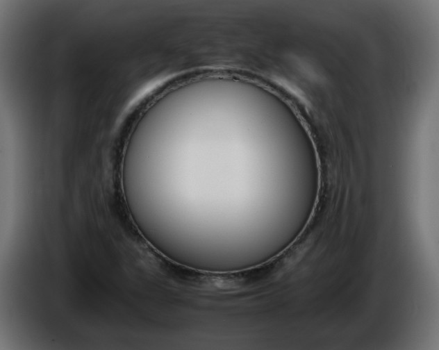 X0000086341311200704131734