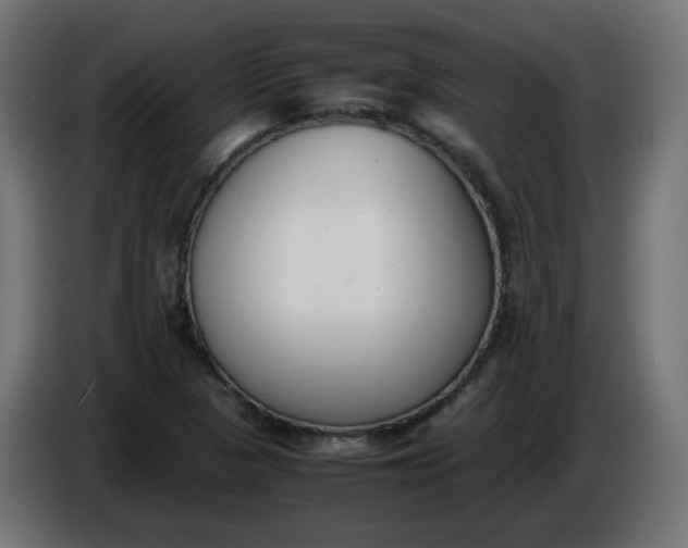 X0000086341313200704131734
