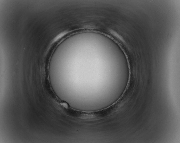 X0000086341315200704131735