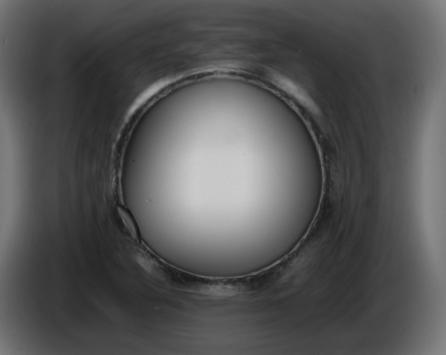 X0000086341316200704131735