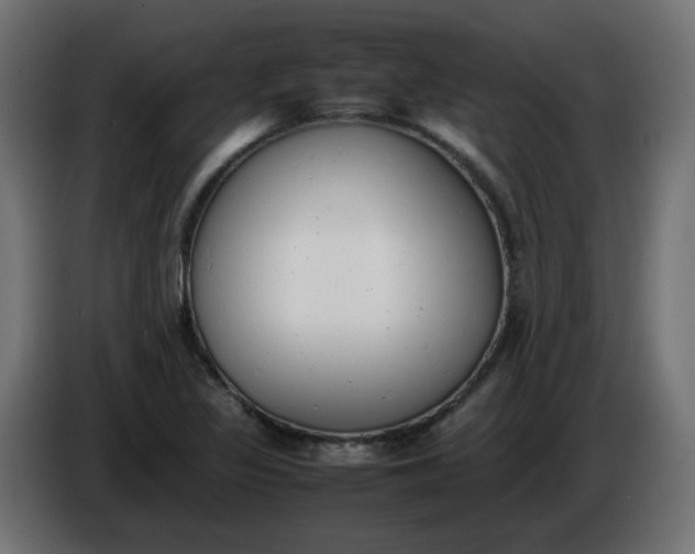 X0000086341317200704131735