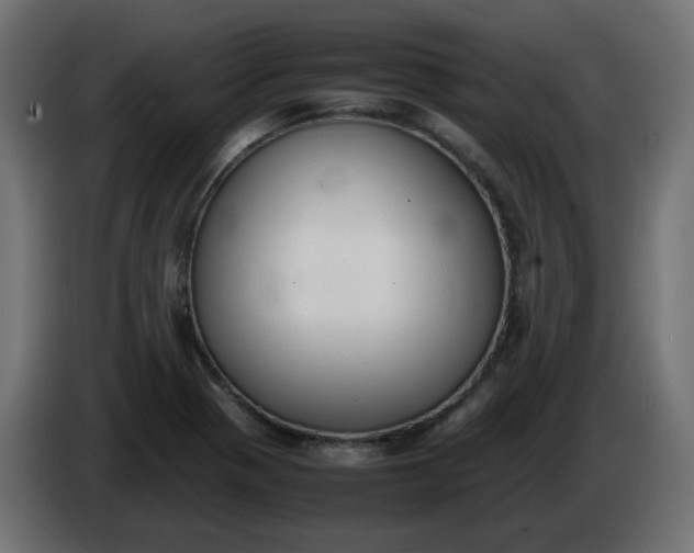 X0000086341321200704131735