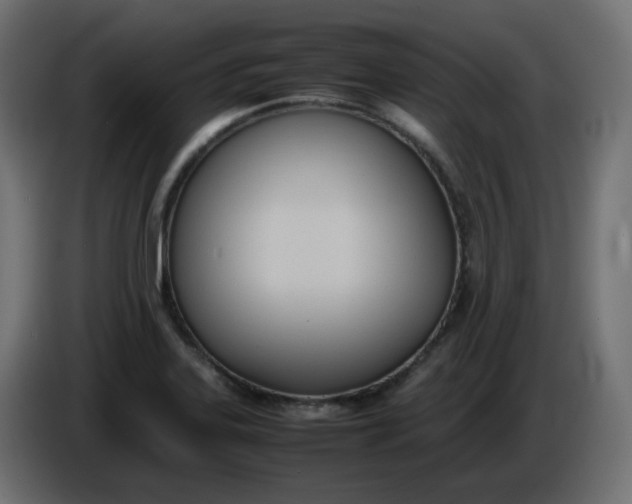 X0000086341323200704131735