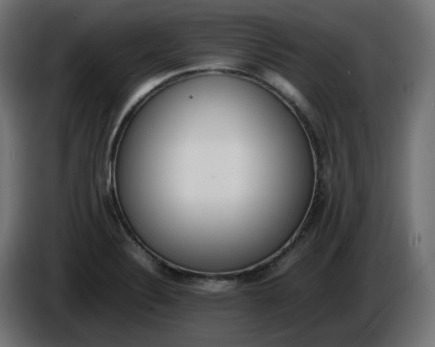 X0000086341324200704131735