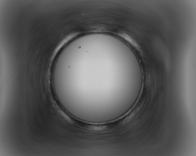 X0000086341325200704131735