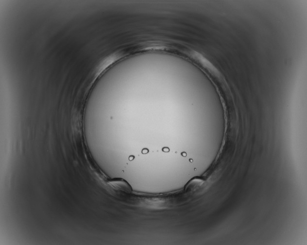 X0000086341329200704131735