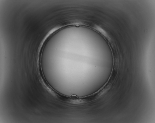 X0000086341331200704131735