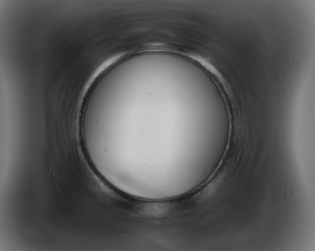 X0000086341333200704131735