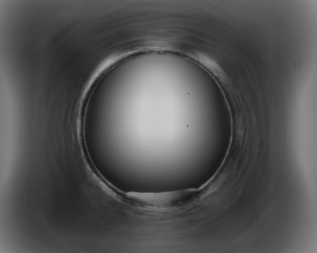 X0000086341334200704131735