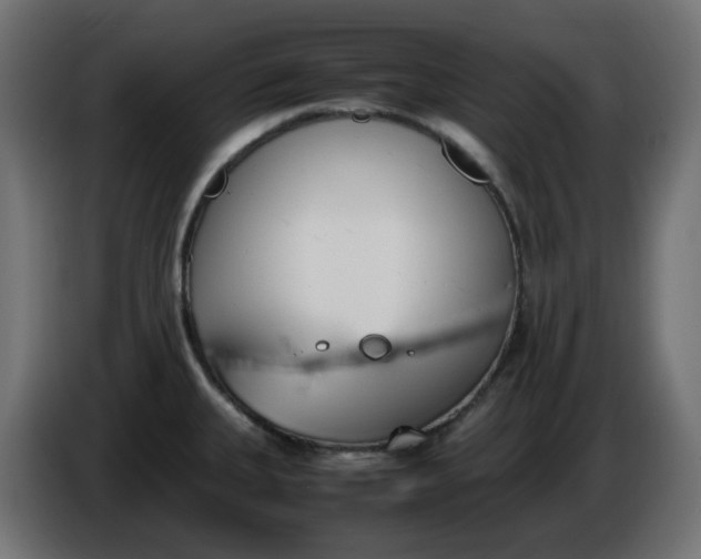 X0000086341335200704131735