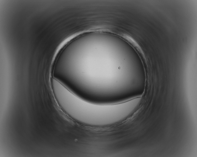 X0000086341336200704131735