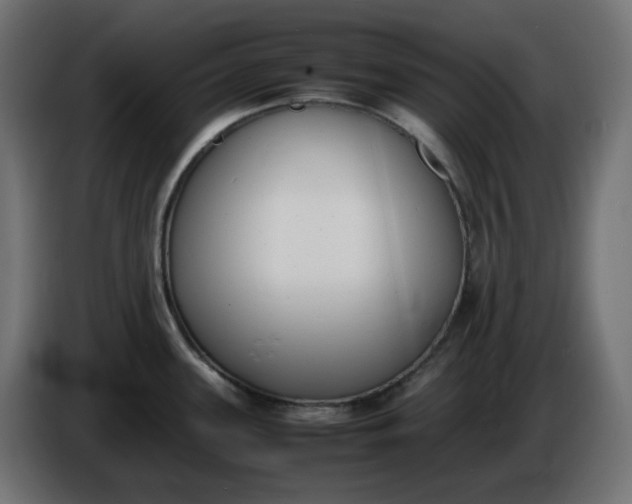 X0000086341339200704131735