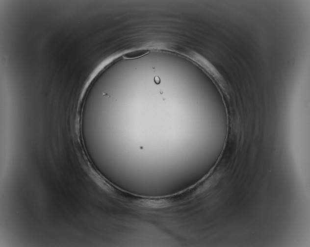 X0000086341340200704131735