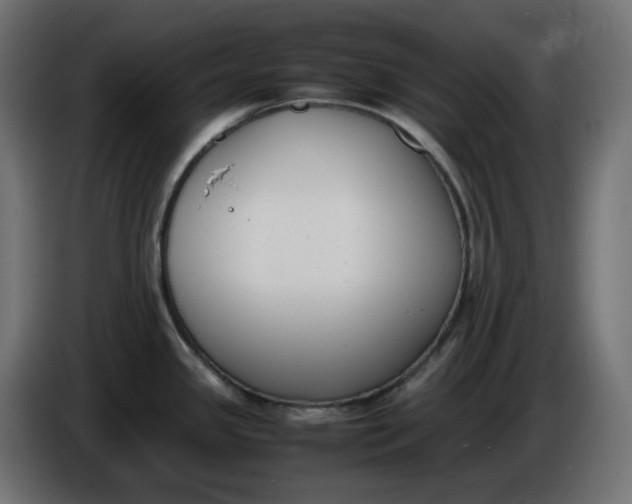 X0000086341341200704131735