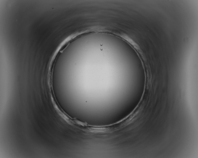 X0000086341342200704131735