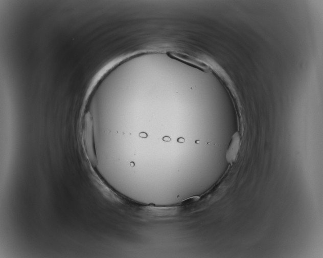 X0000086341344200704131735