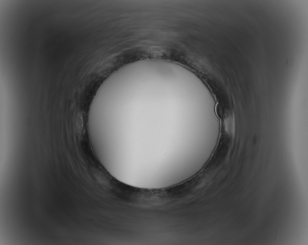 X0000086341347200704131734