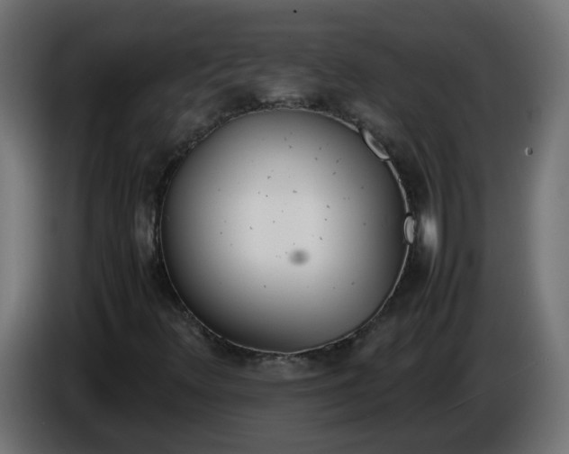 X0000086341348200704131734