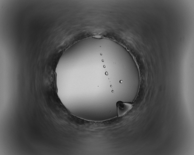 X0000086341349200704131734